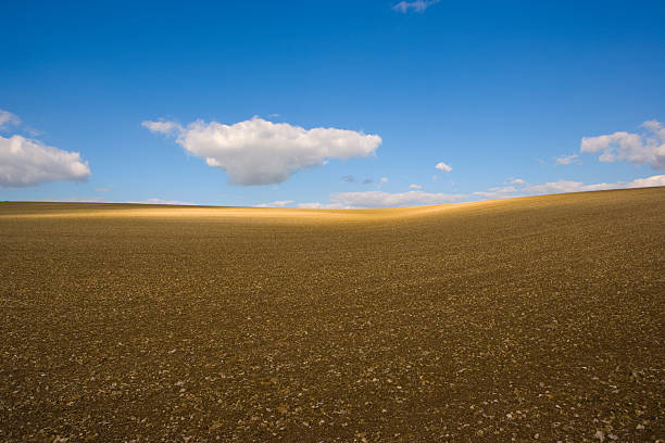 Spring clouds over Dorset farmland A newly ploughed field with fluffy white clouds. dorchester on thames stock pictures, royalty-free photos & images