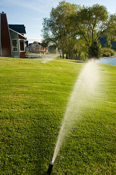 watering stock photo