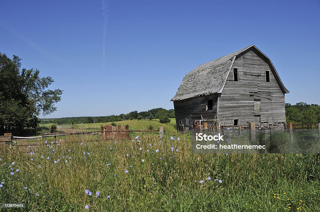 Barn et Field - Photo de Arbre libre de droits