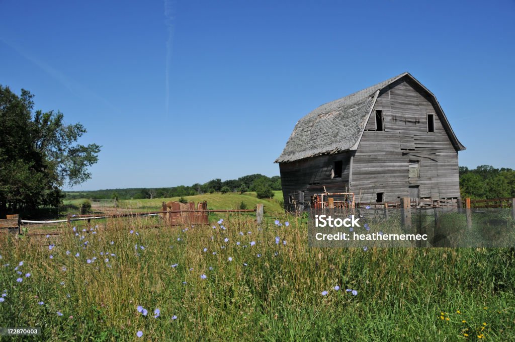 Barn e campo - Foto de stock de Acabado royalty-free