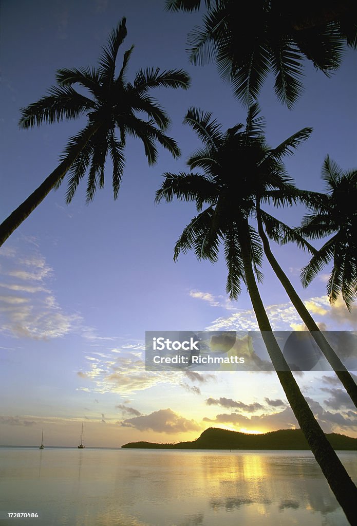 Tropischer Sonnenuntergang - Lizenzfrei Baum Stock-Foto