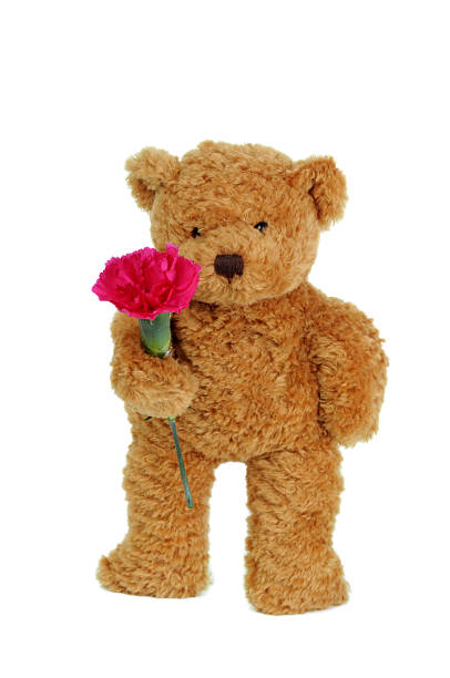 lamentamos teddy - reconciliation carnation consoling teddy bear imagens e fotografias de stock