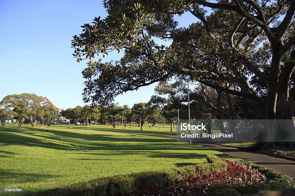 Park Life, à Sydney - Photo de Parc public libre de droits