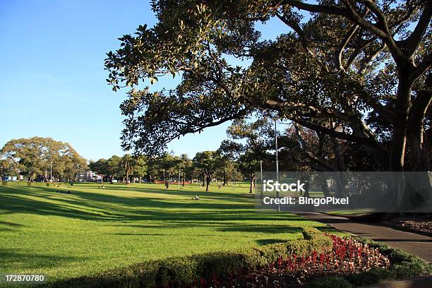 Parque Vida Em Sydney - Fotografias de stock e mais imagens de Parque público - Parque público, Austrália, Sydney