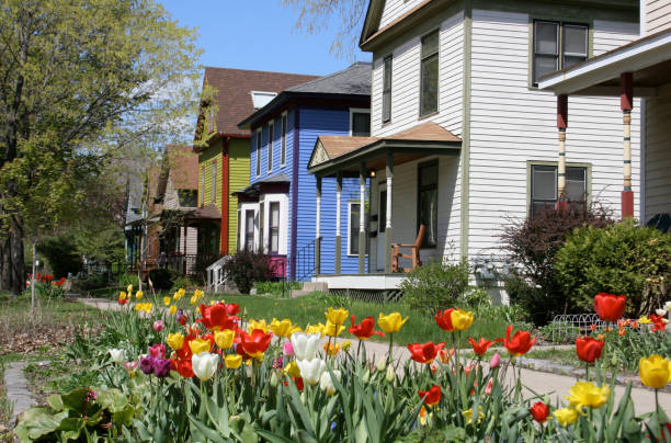 Tulips in front of houses on Milwaukee Avenue stock photo