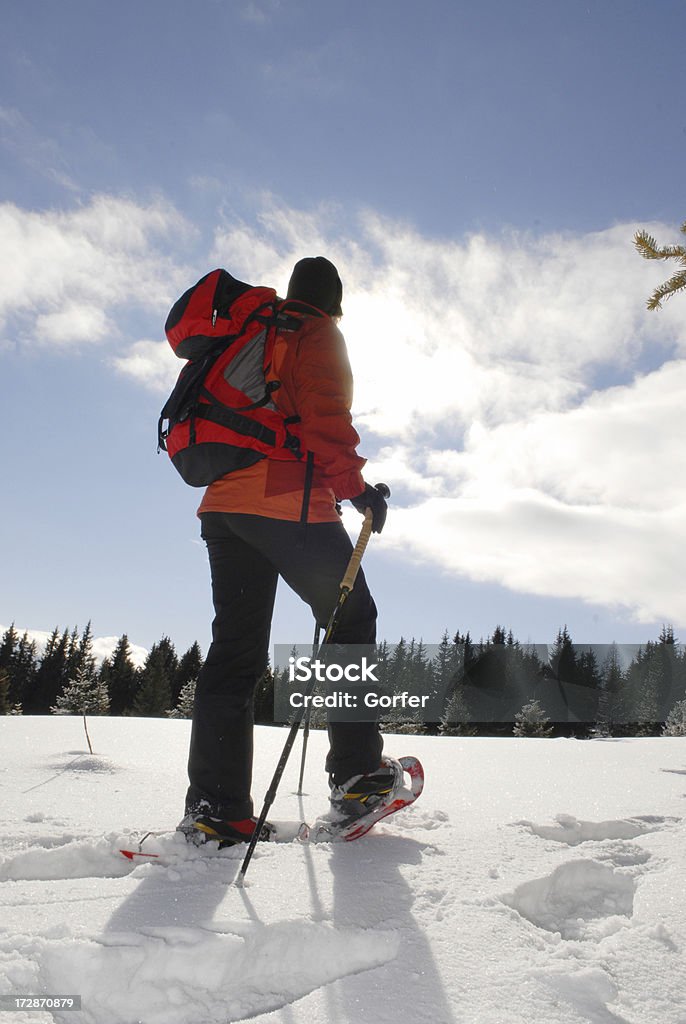 Calçado para neve - Foto de stock de Snowshoeing royalty-free