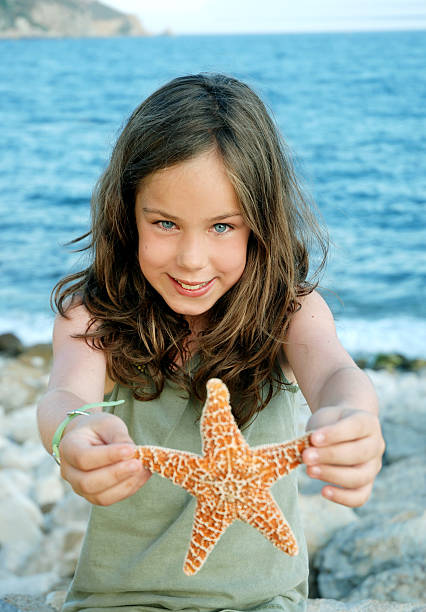 морская звезда - pentagonaster starfish стоковые фото и изображения