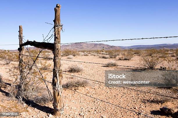 Cerca Do Deserto - Fotografias de stock e mais imagens de Ao Ar Livre - Ao Ar Livre, Arame, Arame farpado