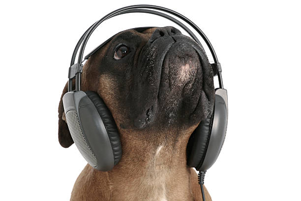 istock Listening to music 172871884