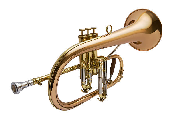 messing wind instrument - brass instrument trumpet classical music flugelhorn stock-fotos und bilder