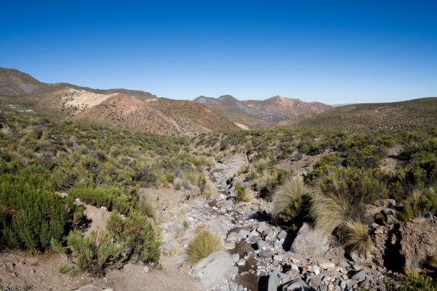 istock Precordillera Landscape in Chile 172872193