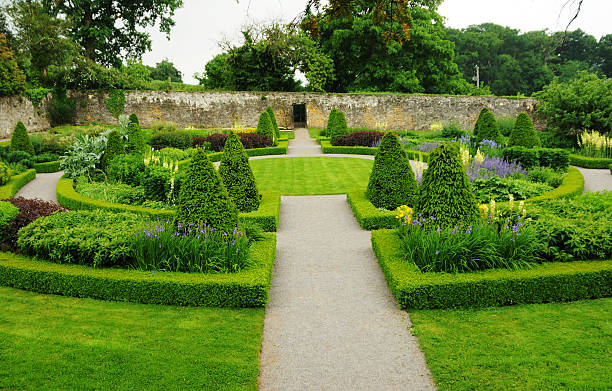 formal knot garden, Wales, UK The traditional knot design uses box hedge borders, circular centre with an inner ring path,four access paths and an outer path following a rectangular route along the old stone walls. The plating is of perennial masses.Taken at Aberglasney, south Wales, UK  knot garden stock pictures, royalty-free photos & images