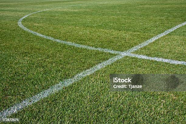 축구장 축구에 대한 스톡 사진 및 기타 이미지 - 축구, 들, 배경-주제