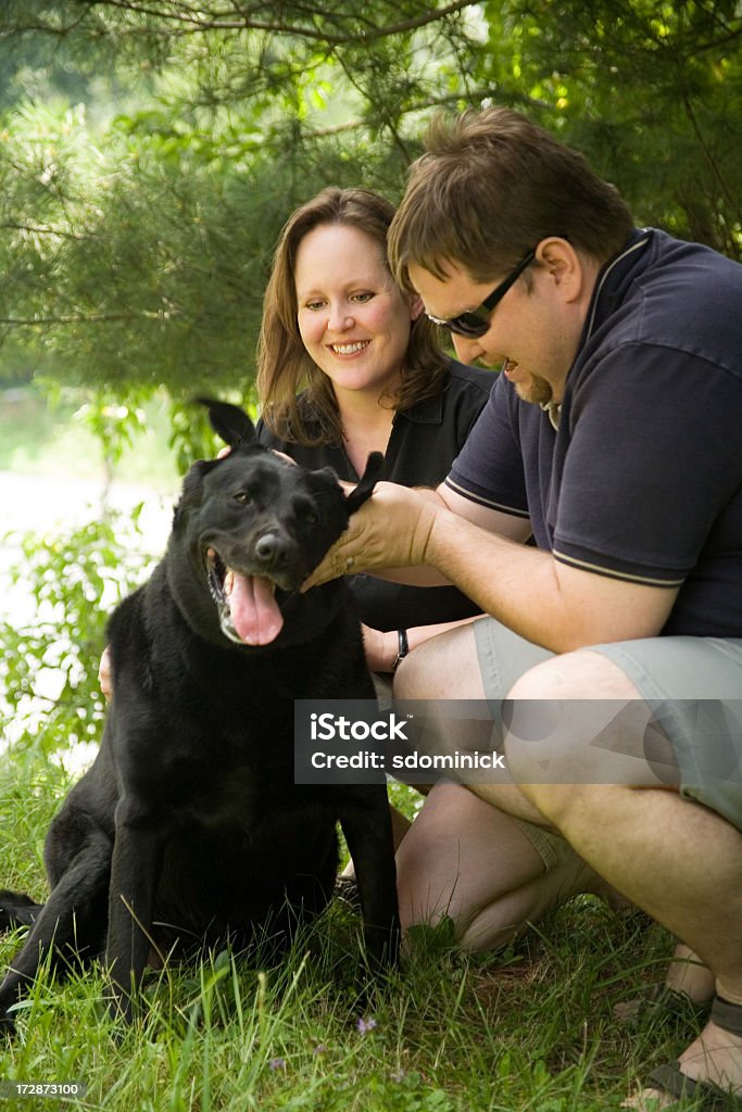 Casal com um laboratório - Foto de stock de Acariciar royalty-free