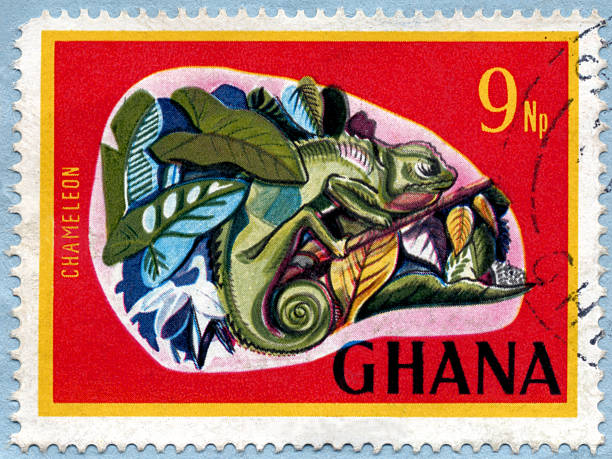 Ghana Chameleon Stamp stock photo