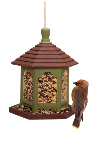 Green and brown outdoor bird feeder with cedar waxwing sitting at the feeder. Isolated on 255 white background.