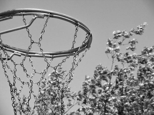istock Chain net and trees, hoop dreams 1728738796