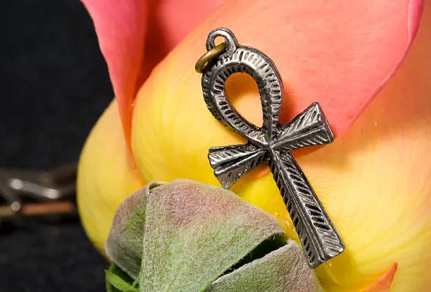 "A pink and yellow rose, with a silver ankh. The ankh is the egyptian symbol for life."