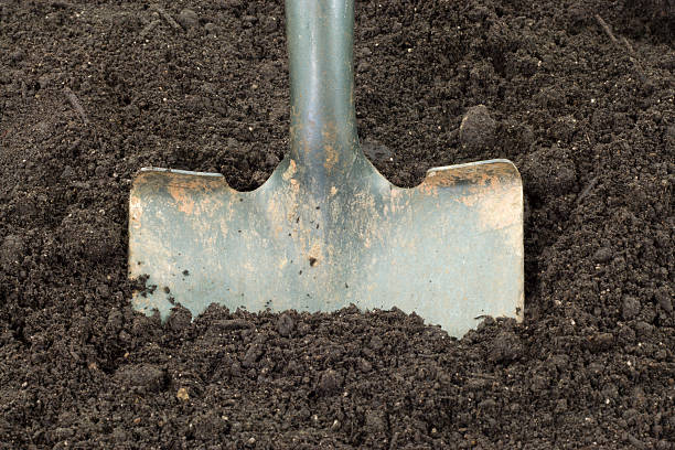 pá de som - gardening shovel digging flower bed - fotografias e filmes do acervo