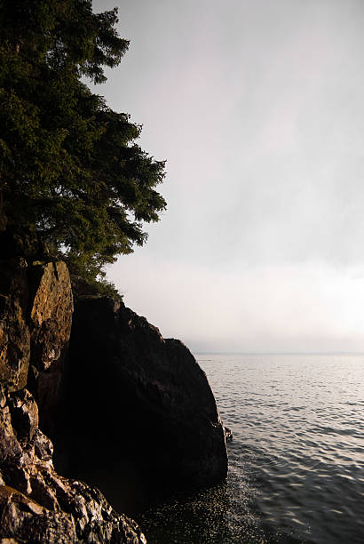mist Outline of trees and rocks on the shore with morning light in the mist over the ocean.ALSO SEE: shadow british columbia landscape cloudscape stock pictures, royalty-free photos & images