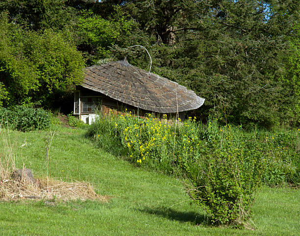 Ungewöhnliche Garden Shed – Foto