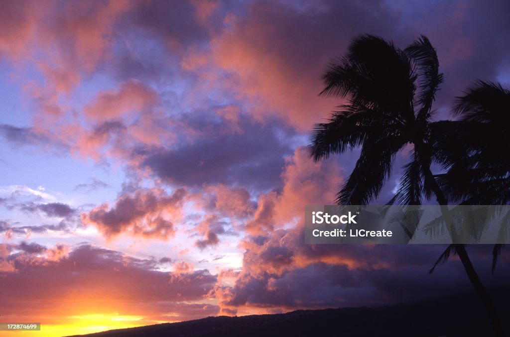 Atardecer después de una tormenta, Oahu, Hawai - Foto de stock de Aire libre libre de derechos