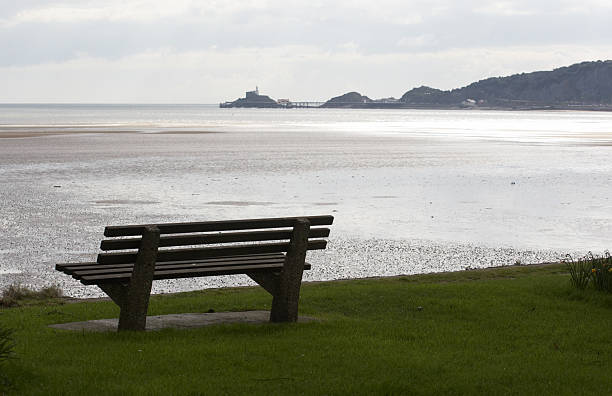 istock Pier and lifeboat ramp bench 172874729