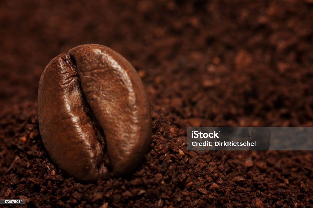 Einzelnen Kaffeebohne auf Boden - Lizenzfrei Alternative Medizin Stock-Foto