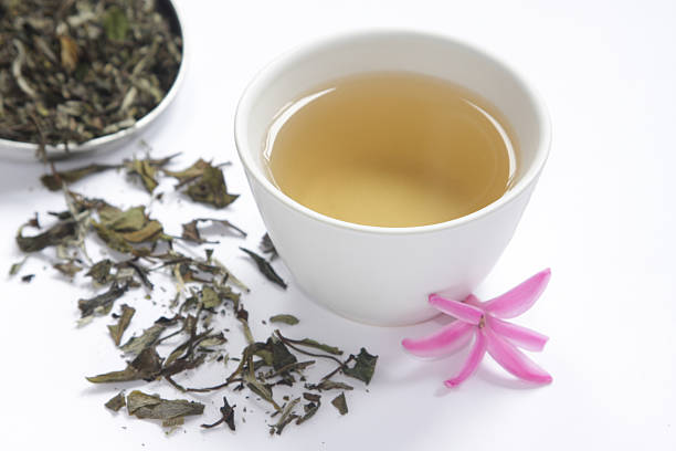 chá em uma xícara branca - tea leaves chinese tea green tea leaf - fotografias e filmes do acervo