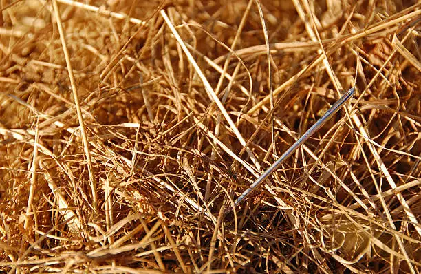 Photo of Silver needle nestled in a haystack