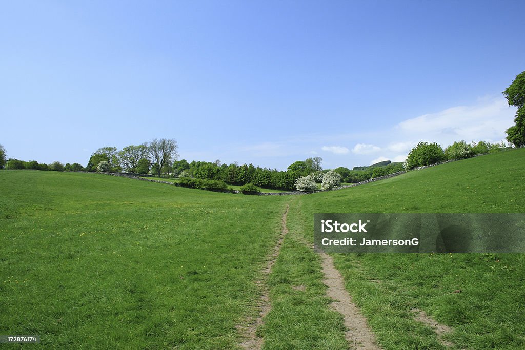 Rural caminho através do meadow - Foto de stock de Azul royalty-free