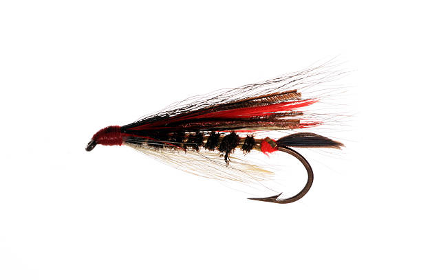 istock Hand Made Fly Fishing Lures Isolated on White Background 172876466