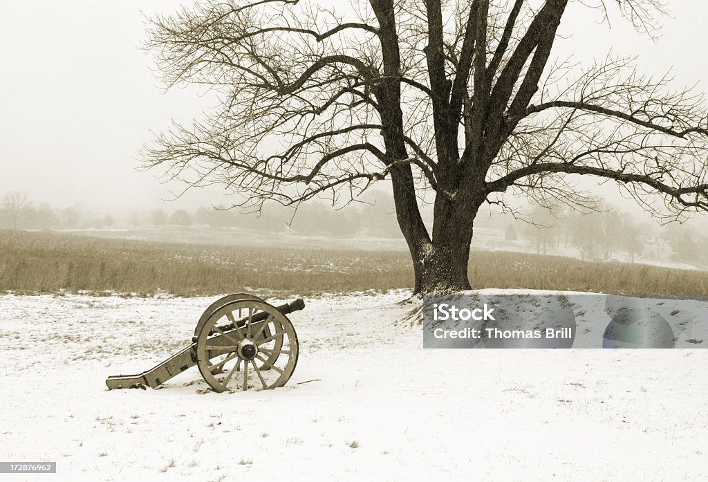 valley Forge Canon Canon in Valley Forge National Park, Pennsylvania Bare Tree Stock Photo