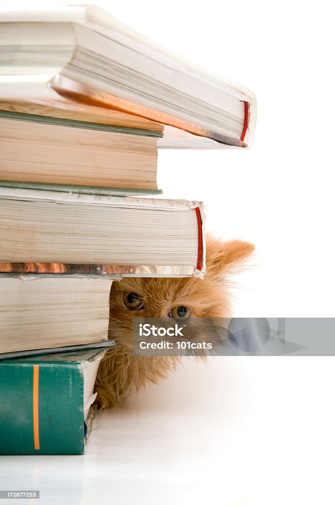 Versteckspiel - Lizenzfrei Buch Stock-Foto