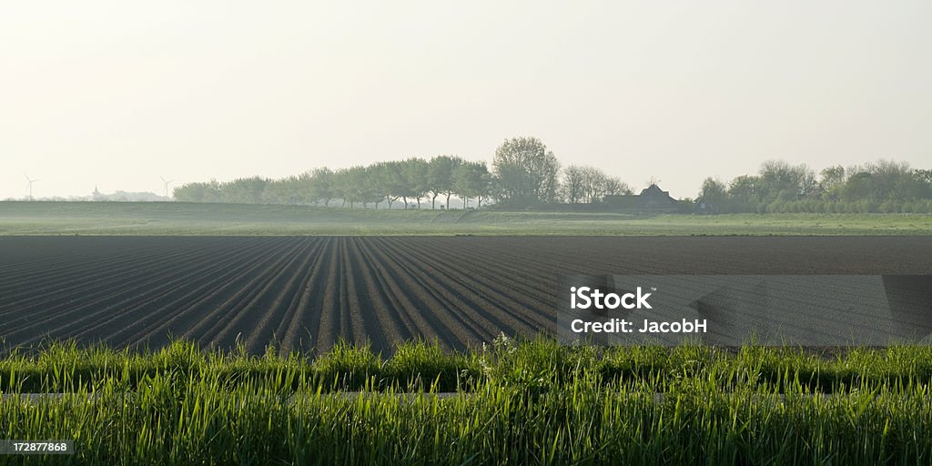 Cena Rural - Royalty-free Cultura Holandesa Foto de stock