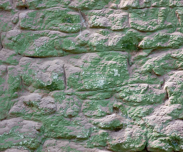 Green stone wall stock photo