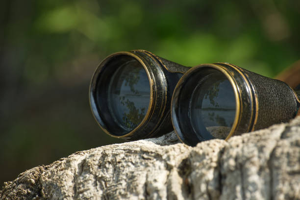 istock Black vintage binoculars on a tree trunk in the forest 1728788930