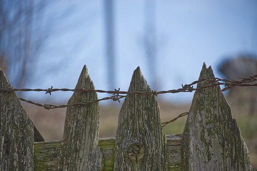 Fence constructed of wooden posts and barbed wire stretching across the frame