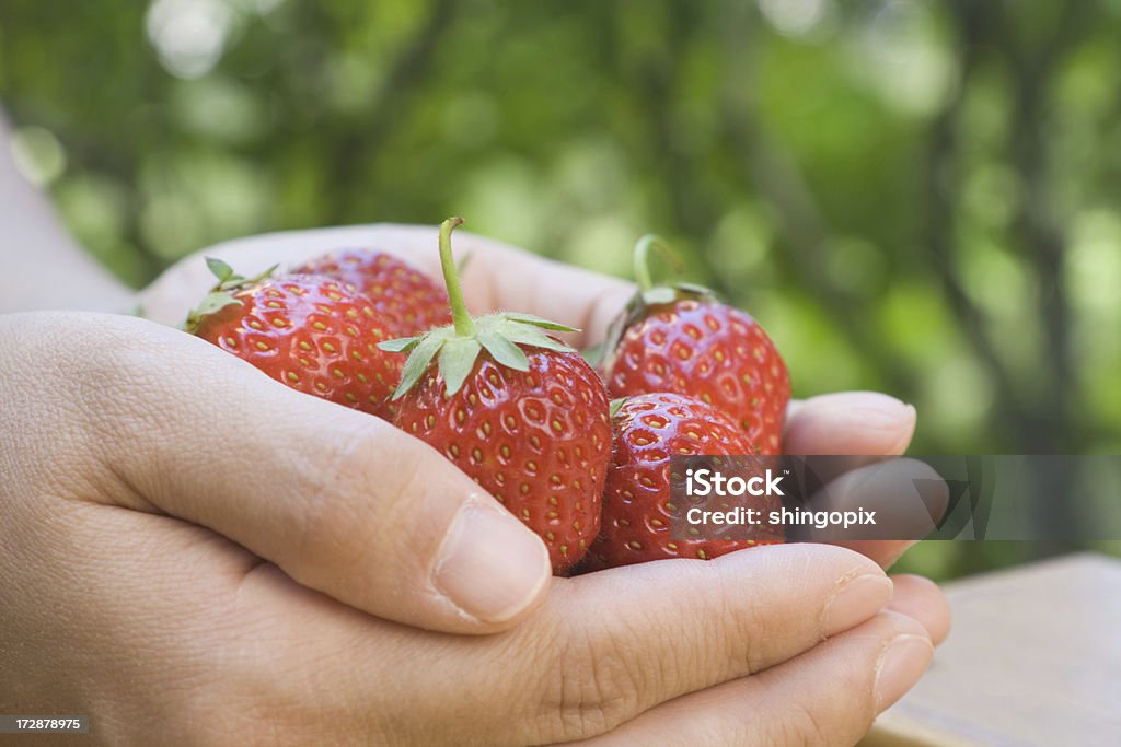 Poignée de fraises - Photo de Adulte libre de droits