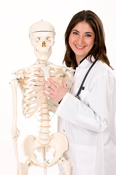 Cheerful female physician with skeleton stock photo