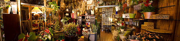 Flower shop A panoramic view of an european flower shop. alpine hulsea photos stock pictures, royalty-free photos & images