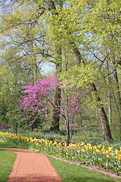 istock Brilliant Spring Color Landscape 172880050