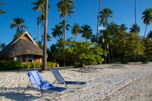 istock Bungalow In The Morning Sun 172880093