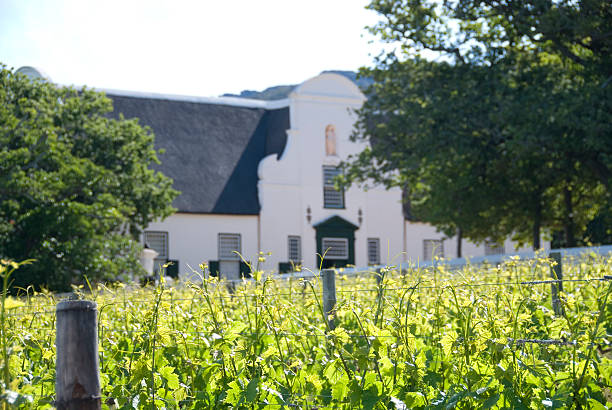 南南アフリカ - south africa cape town winelands constantia ストックフォトと画像