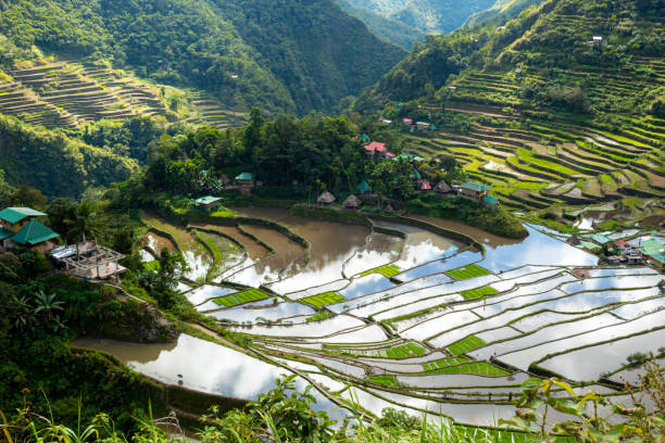 istock Batad rice terraces in Ifugao, Banaue, Philippines. Batad is a village 1728808746