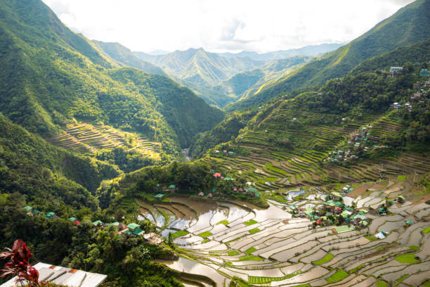 primo piano sul piccolo villaggio nelle terrazze di riso di batad, banaue, ifugao, filippine - ifugao foto e immagini stock