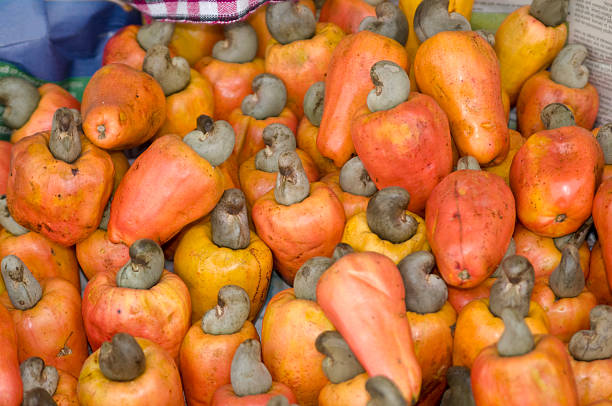 istock Cashew Fruit in Antigua Guatemala 172880990