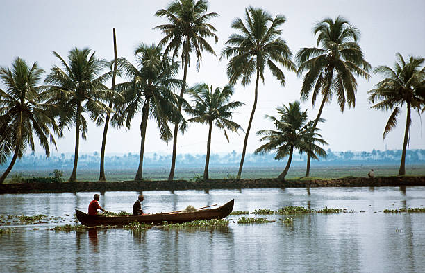 die backwaters von allepey - allepey stock-fotos und bilder