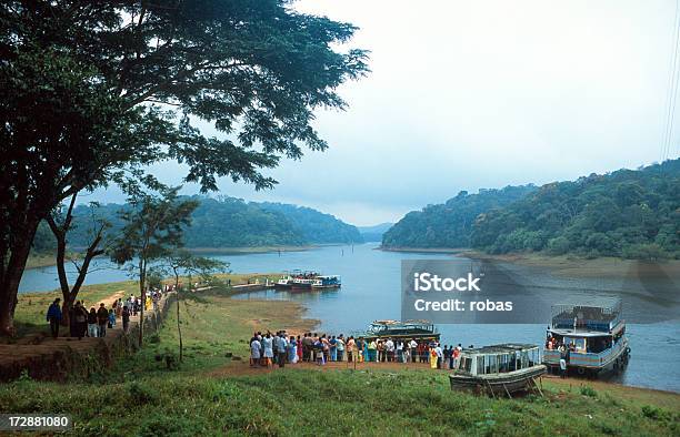 Periyar Reservoir In India Stock Photo - Download Image Now - Periyar National Park, Asia, Dead Plant