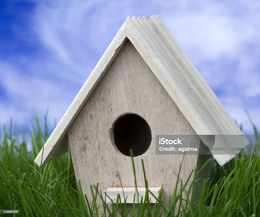 Casetta per gli uccelli in erba - Foto stock royalty-free di Ambientazione esterna